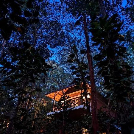 Coffee Acres Resort Kalpatta Exterior foto