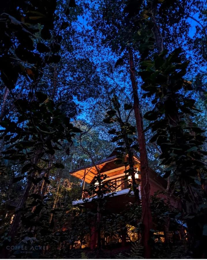 Coffee Acres Resort Kalpatta Exterior foto