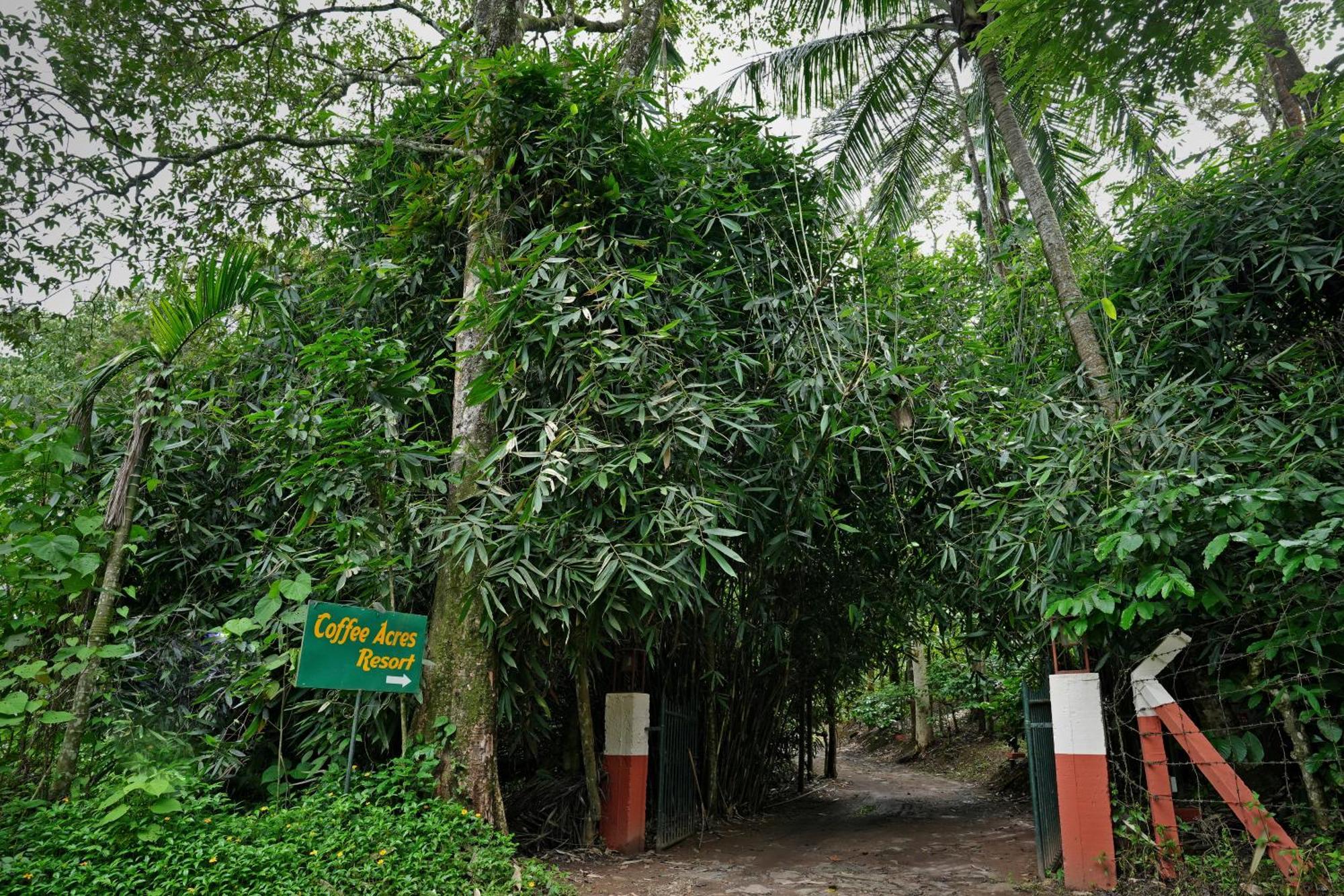 Coffee Acres Resort Kalpatta Exterior foto