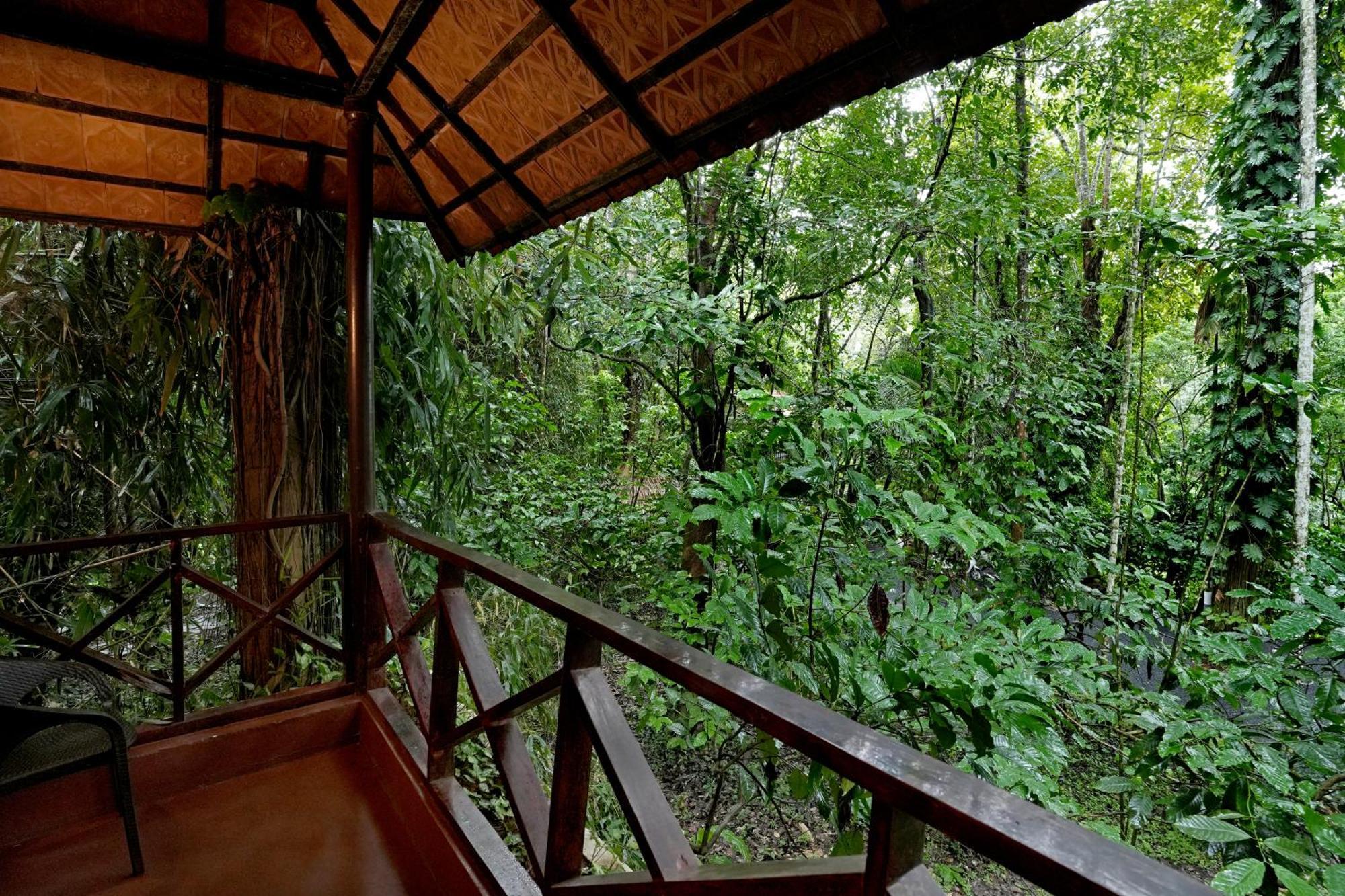Coffee Acres Resort Kalpatta Exterior foto