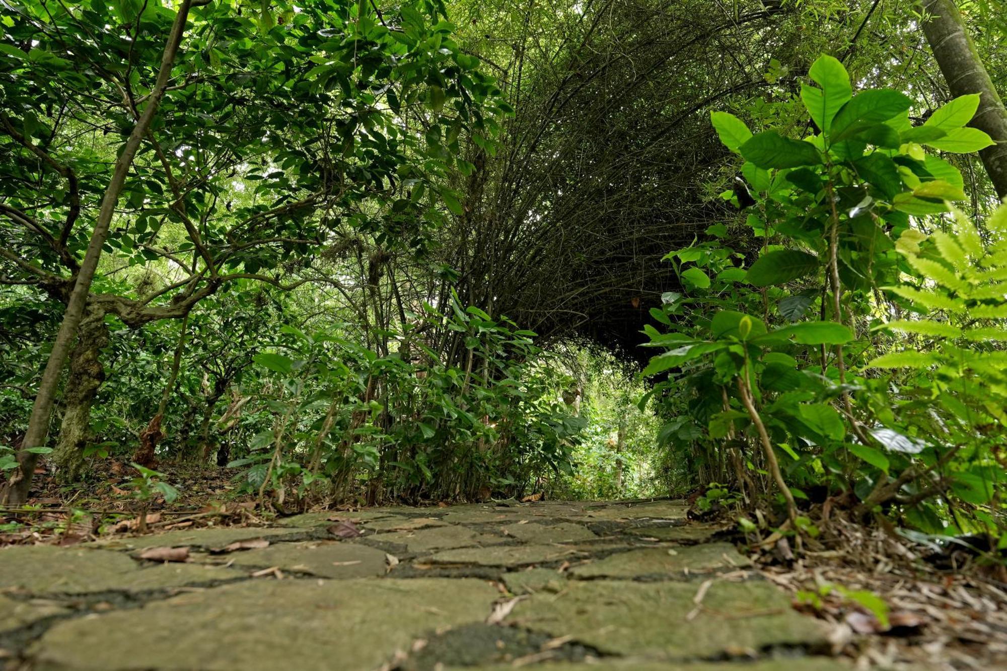 Coffee Acres Resort Kalpatta Exterior foto